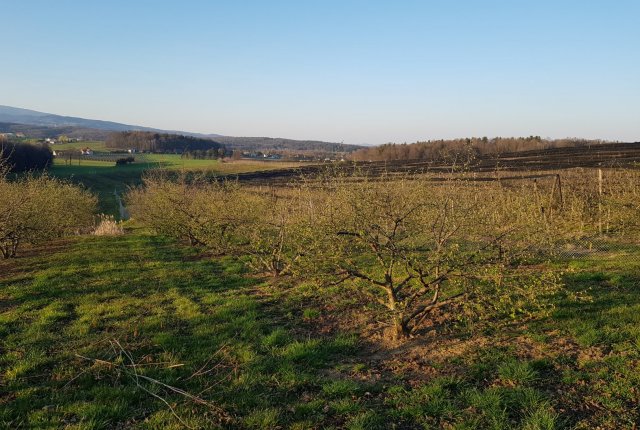 Oskrba rodnega nasada