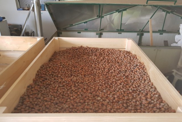 Priprava na luščenje