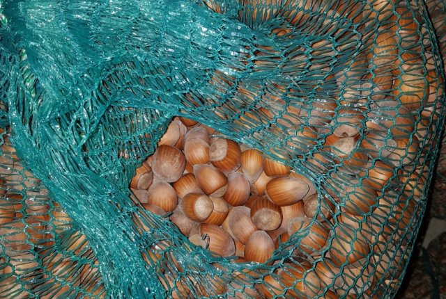 Priprava na luščenje