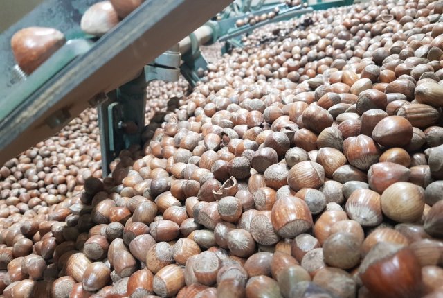 Priprava na luščenje