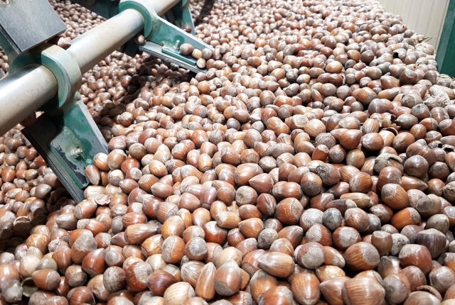 Priprava na luščenje